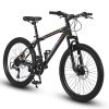 S24102 24 Inch Mountain Bike Boys Girls, Steel Frame, Shimano 21 Speed Mountain Bicycle with Daul Disc Brakes and Front Suspension MTB - as Pic