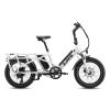 A6 Cargo Ebike, Step Through Electric Bike for Carrying Passenger or Kids - as Pic
