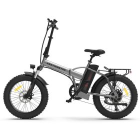 AOSTIRMOTOR Folding Electric Bike Ebike Bicycle 750W Motor 20" Fat Tire With 48V/12.5Ah Li-Battery Beach Snow Bicycle A30 - as Pic