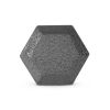 Multi-weight cast iron hexagonal dumbbell, single bar - 45lbs