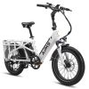 A6 Cargo Ebike, Step Through Electric Bike for Carrying Passenger or Kids - as Pic