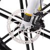 A2 Electric Bike Fat Tire 48V Removable Lithium Battery for Adults, Step-Through Frame and Shimano 7-Speed - as Pic