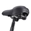 A2 Electric Bike Fat Tire 48V Removable Lithium Battery for Adults, Step-Through Frame and Shimano 7-Speed - as Pic
