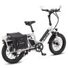 A6 Cargo Ebike, Step Through Electric Bike for Carrying Passenger or Kids - as Pic