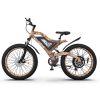 AOSTIRMOTOR 48V15AH Li-Battery fit for S18 S18-1500W Electric Bikes - as Pic